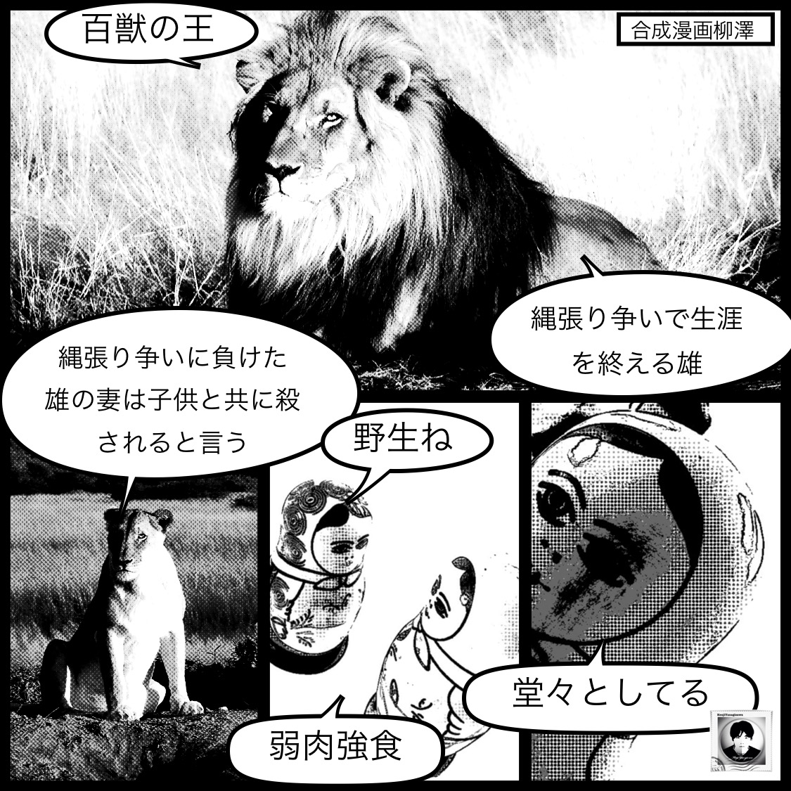 ライオンの生き様
